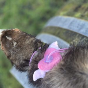 8-Vormig Tuigje 'Cupido'