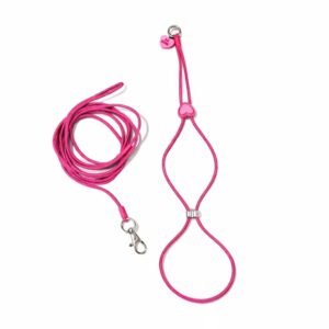 8-Vormig Tuigje en Lijn 'Valentijn'