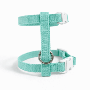 Kliktuigje Basic Mint