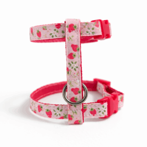 Kliktuigje "Aardbei"