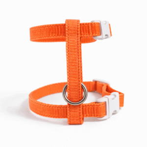 Kliktuigje Basic Oranje