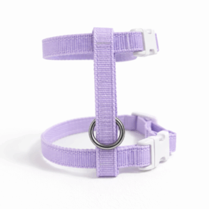 Kliktuigje Basic Lila